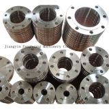Varisized More and Less Holes Forging Flange