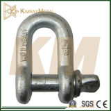 Us Type Drop Forged Dee Shackle (EG / HDG)