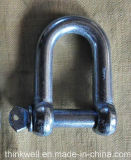 Special European Type Galvanized Large Dee Shackle with Round Pin