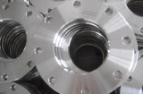 Sanitary Stainless Steel Flanges