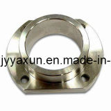 Special Alloy Steel Flange Hastelloyc276 Flanges