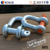 High Tensile Us Type G210 Drop Forged Dee Shackle