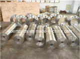 Incoloy 800H Forged/Forging Parts/Pipes/Tubes/Sleeves/Bushings (UNS N08810, 1.4958, Alloy 800H)