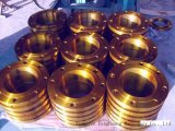 Teel So RF Forged Flange Products