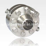 Stainless Steel Flange/Stainless Flange