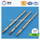 China Supplier Stainless Steel Linear Motor Shaft for Home Application