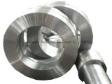 Stainless Steel Forging Ring and Shaft