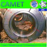 Static Casting Steel Roll Rings