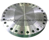 Forged Flange Tube Sheet Stainless Steel Flange