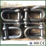 High Thensile Drop Forged Large Dee Shackle BS3032