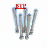 High Quality Carbide Tungsten Cold Forging Rod (BTP-R256)