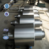Alloy Steel Forged Worm Shaft