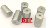 Carbide Tungsten High Quality Hardware Punches (BTP-D310)