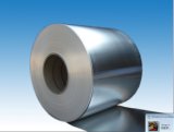 Hard Semi-Hard Soft Aluminum/Aluminium Coil Alloy for Construction/Decoration/Electronic Products