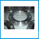 Carbon Steel Dn200 Forged Anchor Flange