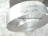 Stainless Steel Solid Forging Flange