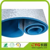 TPE Yoga Mat / XPE Foam Mat / PE Yoga Mat