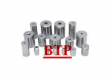 Castomer Design Carbide Cold Forging Tooling Tungsten Fastener Tooling for Screw From China (BTP-D182)