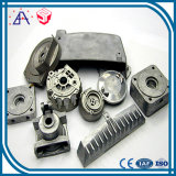 New Product Auto Parts of Aluminum Die Casting (SY0814)