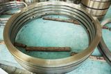 Seamless Rolled Ring (PKZD10)