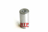 Machine Part Carbide Tungsten Screw Mould (BTP-D354)