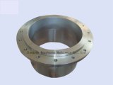 Alloy Steel Casting and Forged Flange
