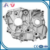 Precision Aluminum Die Casting with OEM Service (SY0088)