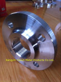 Forged Stainless Steel Flange Thread (TH) Flange