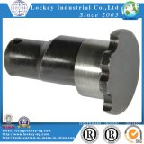 Auto Forging Part, Auto Accessory, Processing Machinery Part