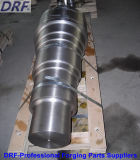 Forging Axis, Stainless Steel, Alloy Steel