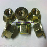 Flange Nuts with SGS, ISO9001: 2008, RoHS