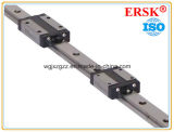 Linear Shaft Guide with Two Blocks