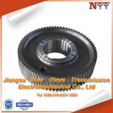 Customized All Kinds of Pinion Gear