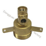 Casting Part with Brass (HK273)