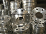 Forging Stainless Steel Flange
