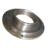 Iron Casting or Steel Casting Flange