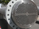 Forged Flange Tube Sheet Stainless Steel Flange (with Holes)