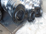 Forged Steel Flanges (1/2