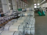 Steel Mill Roll