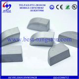 Tungsten Carbide Cold Forging Dies / Strips / Boards