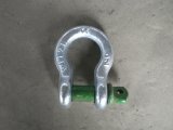 Us Type Anchor Screw Shackle