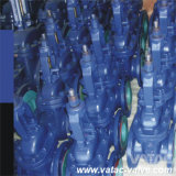 Cast Iron&Ductile Iron Gg25&Ggg40 DIN Flanged Gate Valve