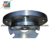 Forging Flange Alloy Steel Welding Neck Flange (ZH-309)