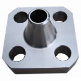 SS Special Flange (FG-29)