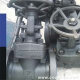 Vatac API 600 Cast Gate Valve