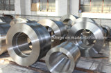 Various Metal Steel Forging Ring