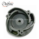 Customized Gray Iron Pump Body with Painting Finish