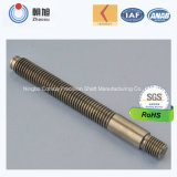 China Supplier Custom Made Non-Standard Threaded Rod