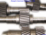 Forging Worm Shafts (JYLY) 