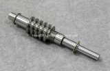Precision Stainless Steel Motor Transmission Worm Gear Shaft